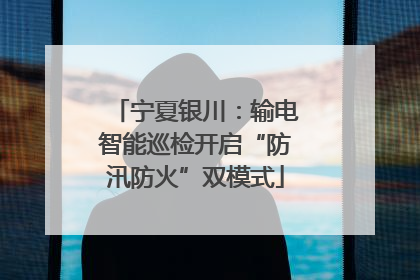 宁夏银川：输电智能巡检开启“防汛防火”双模式