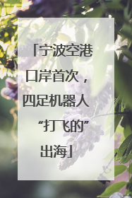 宁波空港口岸首次，四足机器人“打飞的”出海