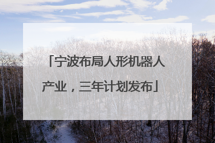 宁波布局人形机器人产业，三年计划发布
