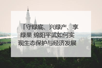 守绿底、兴绿产、享绿果 绵阳平武如何实现生态保护与经济发展双赢？｜新闻发布最前线·深一度