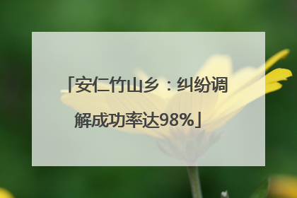 安仁竹山乡：纠纷调解成功率达98%