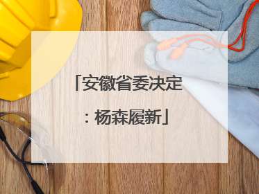 安徽省委决定：杨森履新