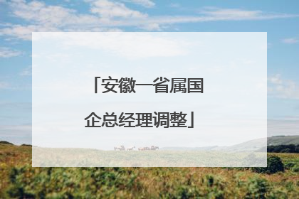 安徽一省属国企总经理调整