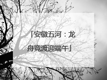 安徽五河：龙舟竞渡迎端午