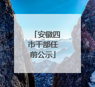 安徽四市干部任前公示