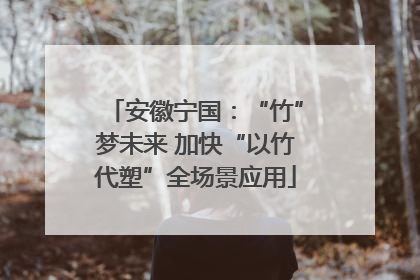 安徽宁国：“竹”梦未来 加快“以竹代塑”全场景应用