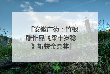 安徽广德：竹根雕作品《梁丰岁稔》斩获金鼎奖