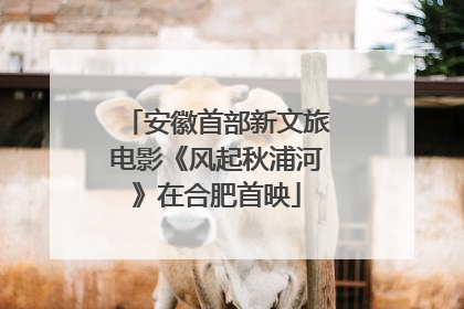 安徽首部新文旅电影《风起秋浦河》在合肥首映