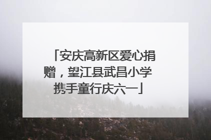安庆高新区爱心捐赠，望江县武昌小学携手童行庆六一