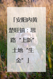 安阳内黄楚旺镇：思路“上新” 土地“生金”