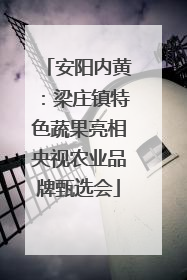 安阳内黄：梁庄镇特色蔬果亮相央视农业品牌甄选会