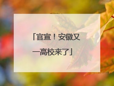 官宣！安徽又一高校来了