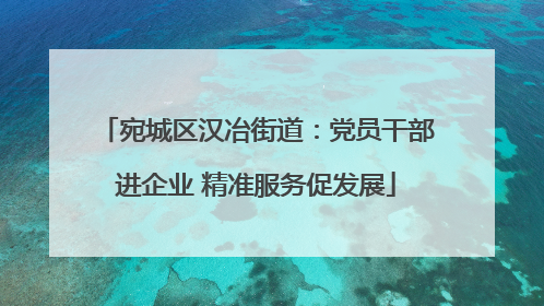 宛城区汉冶街道：党员干部进企业 精准服务促发展
