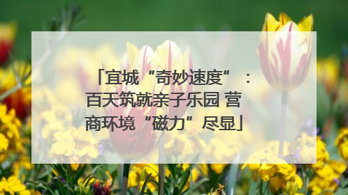 宜城“奇妙速度”：百天筑就亲子乐园 营商环境“磁力”尽显
