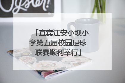 宜宾江安小坝小学第五届校园足球联赛顺利举行