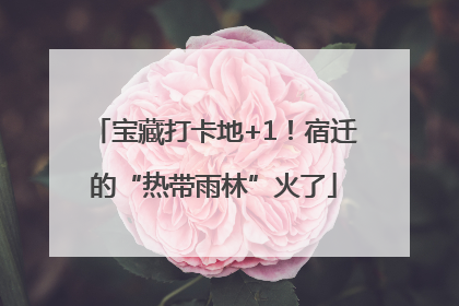 宝藏打卡地+1！宿迁的“热带雨林”火了
