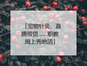 宠物针灸、直播带货……职教周上秀绝活
