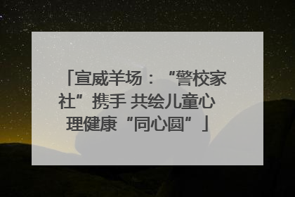 宣威羊场：“警校家社”携手 共绘儿童心理健康“同心圆”