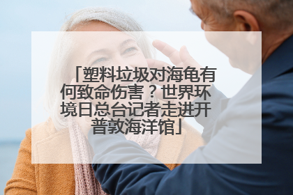 塑料垃圾对海龟有何致命伤害？世界环境日总台记者走进开普敦海洋馆