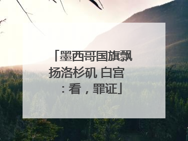 墨西哥国旗飘扬洛杉矶 白宫：看，罪证