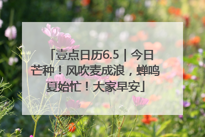 壹点日历6.5｜今日芒种！风吹麦成浪，蝉鸣夏始忙！大家早安