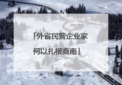 外省民营企业家何以扎根商南