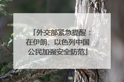 外交部紧急提醒：在伊朗、以色列中国公民加强安全防范