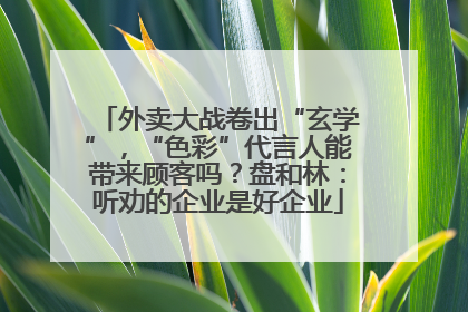 外卖大战卷出“玄学”，“色彩”代言人能带来顾客吗？盘和林：听劝的企业是好企业