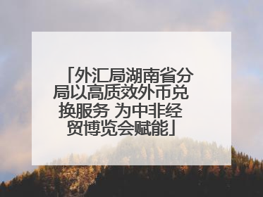 外汇局湖南省分局以高质效外币兑换服务 为中非经贸博览会赋能