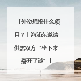 外资想投什么项目？上海浦东邀请供需双方“坐下来掰开了谈”