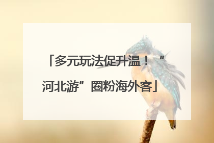 多元玩法促升温！“河北游”圈粉海外客