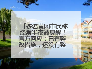 多名黄冈市民称经常半夜被臭醒！官方回应：已有整改措施，还没有整改情况