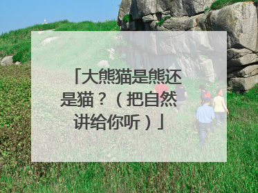 大熊猫是熊还是猫？（把自然讲给你听）