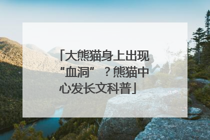 大熊猫身上出现“血洞”？熊猫中心发长文科普