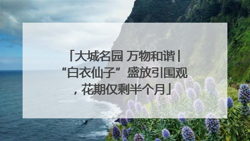 大城名园 万物和谐│“白衣仙子”盛放引围观，花期仅剩半个月