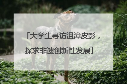 大学生寻访沮漳皮影，探求非遗创新性发展