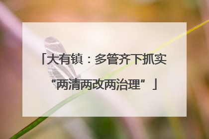 大有镇：多管齐下抓实“两清两改两治理”