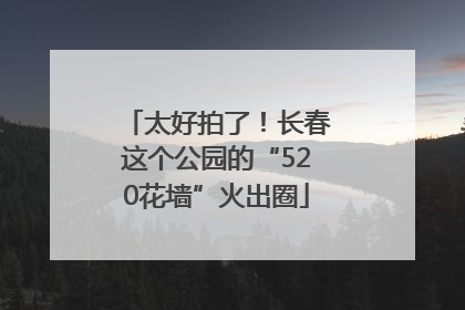 太好拍了！长春这个公园的“520花墙”火出圈