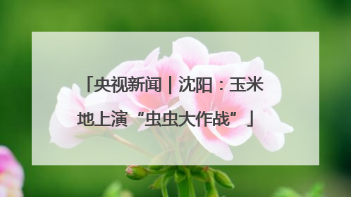 央视新闻｜沈阳：玉米地上演“虫虫大作战”