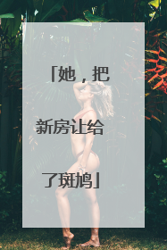 她，把新房让给了斑鸠
