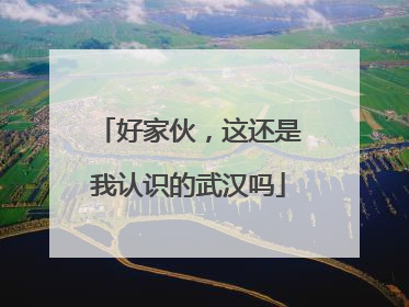 好家伙，这还是我认识的武汉吗