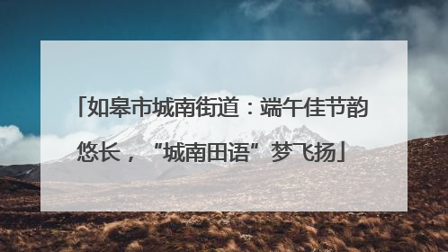 如皋市城南街道：端午佳节韵悠长，“城南田语”梦飞扬