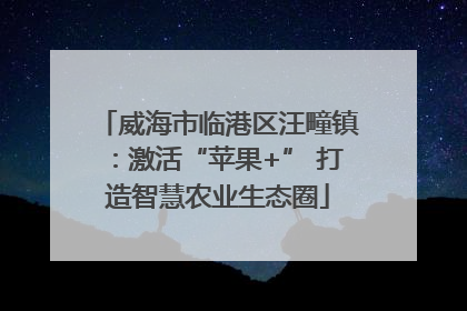 威海市临港区汪疃镇：激活“苹果+” 打造智慧农业生态圈
