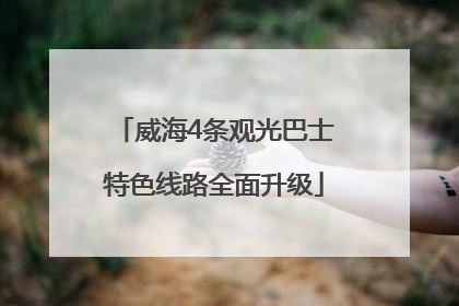 威海4条观光巴士特色线路全面升级
