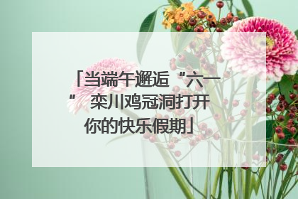 当端午邂逅“六一” 栾川鸡冠洞打开你的快乐假期