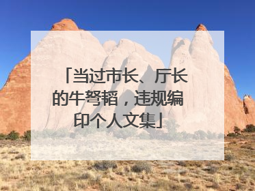 当过市长、厅长的牛弩韬，违规编印个人文集