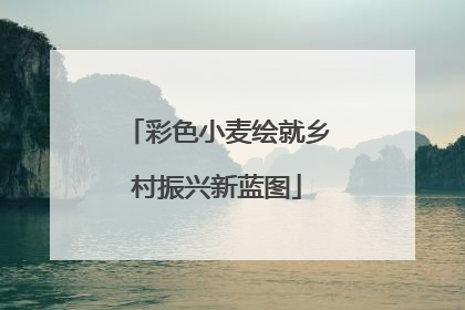彩色小麦绘就乡村振兴新蓝图