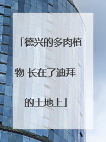 德兴的多肉植物 长在了迪拜的土地上