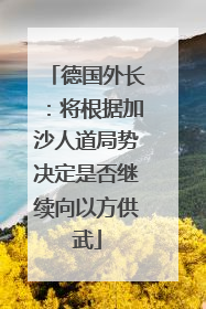 德国外长：将根据加沙人道局势决定是否继续向以方供武