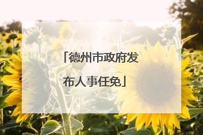 德州市政府发布人事任免